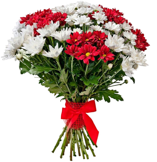 Red and White Chrysanthemum Bouquet