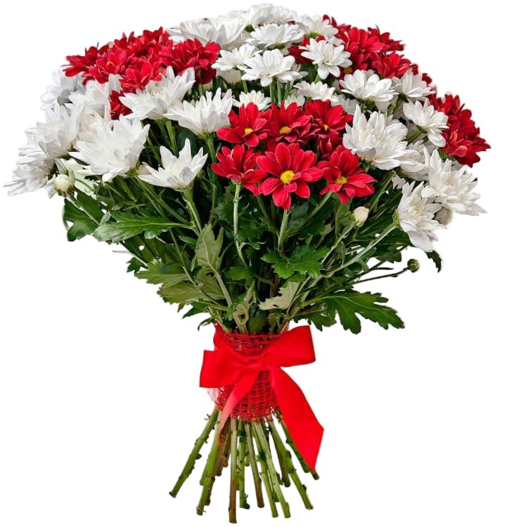Red and White Chrysanthemum Bouquet - Florist London