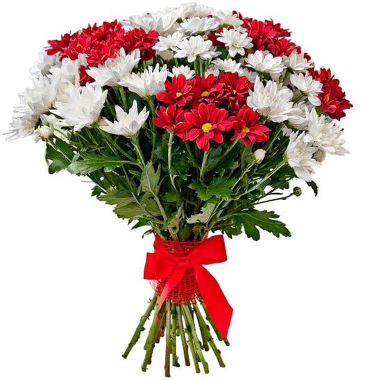 Red and White Chrysanthemum Bouquet - Florist London