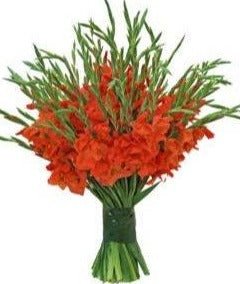 Red Gladiolus Bouquet - Florist London