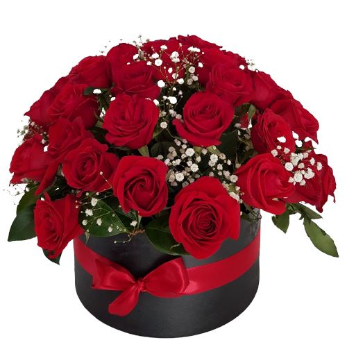 Red Roses and Gypsophila Box - Florist London