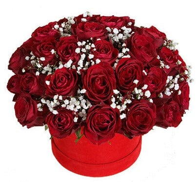 Red Roses and Gypsophila Box - Florist London