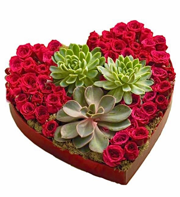 Red Roses Box with Succulent - Florist London