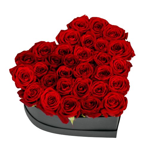 Red Roses in Box