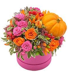 Roses with Berry Autumn Box - Florist London