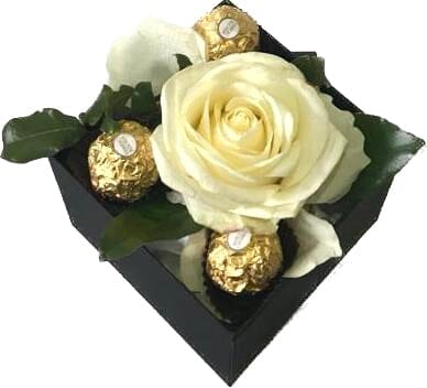 Single Fresh Rose with Chocolates - Florist London