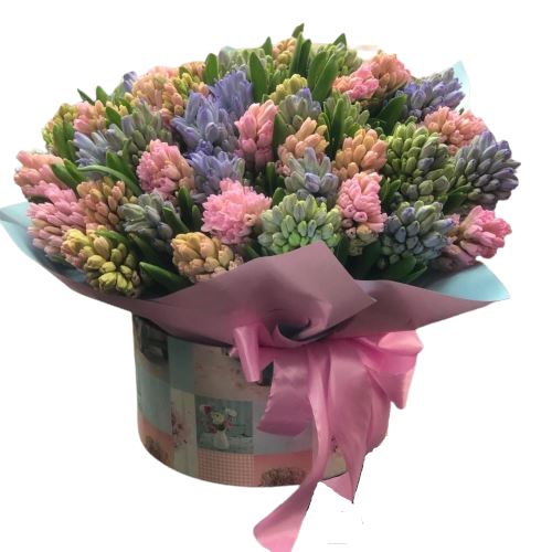 Spring Hyacinths in a Box