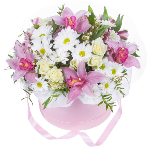 Spring in a Box