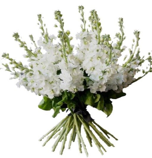 Stock Bouquet - Florist London