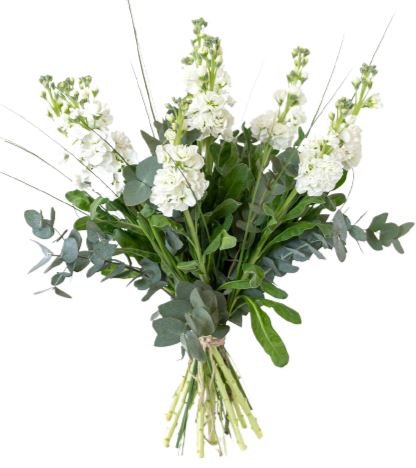 Stock Bouquet with Greenery - Florist London