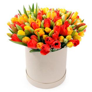 Sunny Tulip Box - Florist London