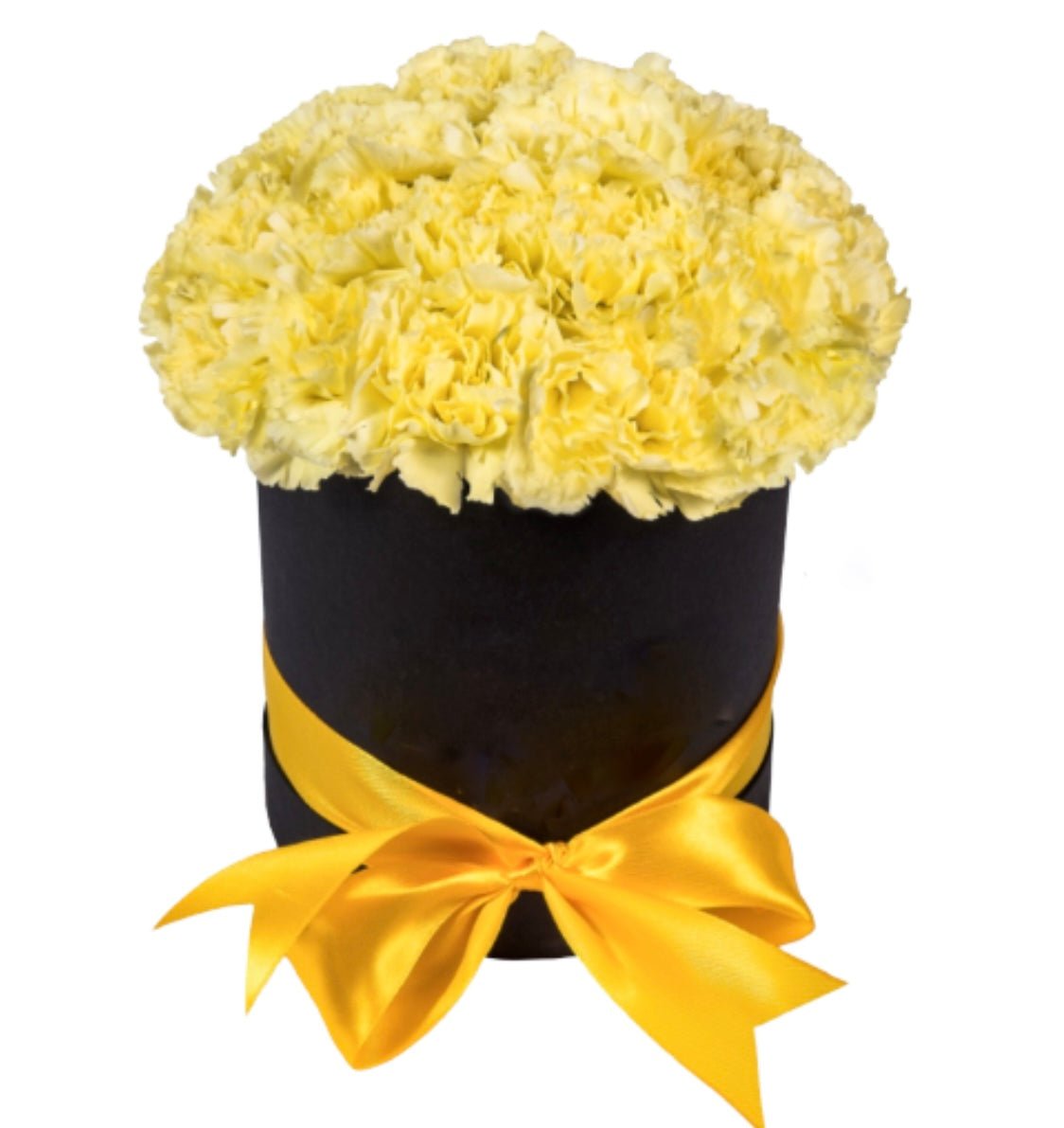 Sweet Carnation Box - Florist London