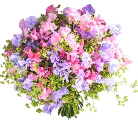 Sweet Pea with Alchemilla Bouquet - Florist London