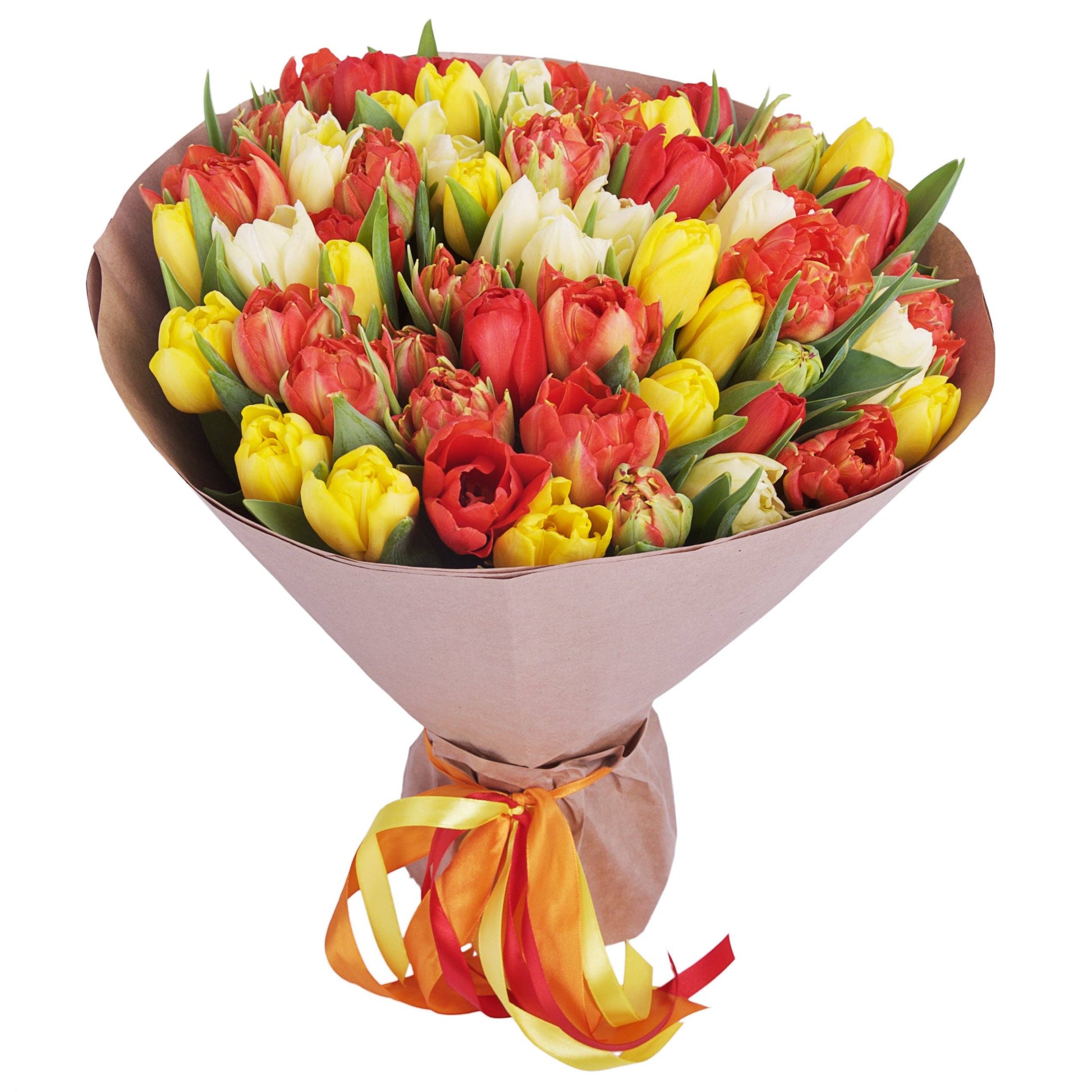 Three Colors of Tulips