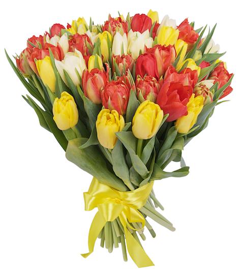 Three Colors of Tulips - Florist London