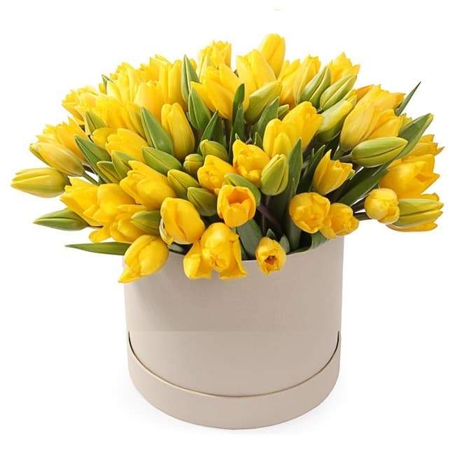 Tulips in a Box