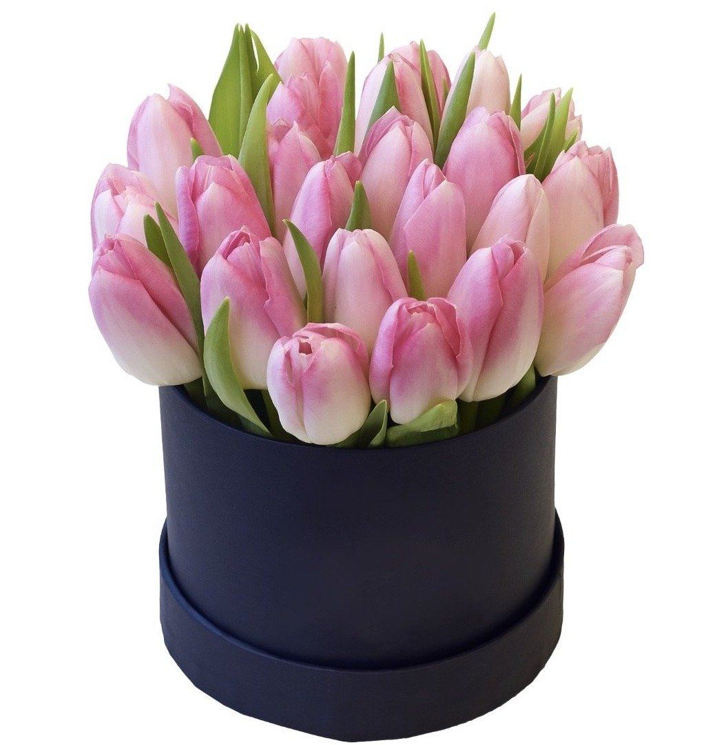 Tulips in a Box - Florist London
