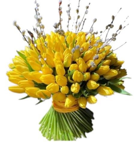 Tulips with Catkins Bouquet - Florist London