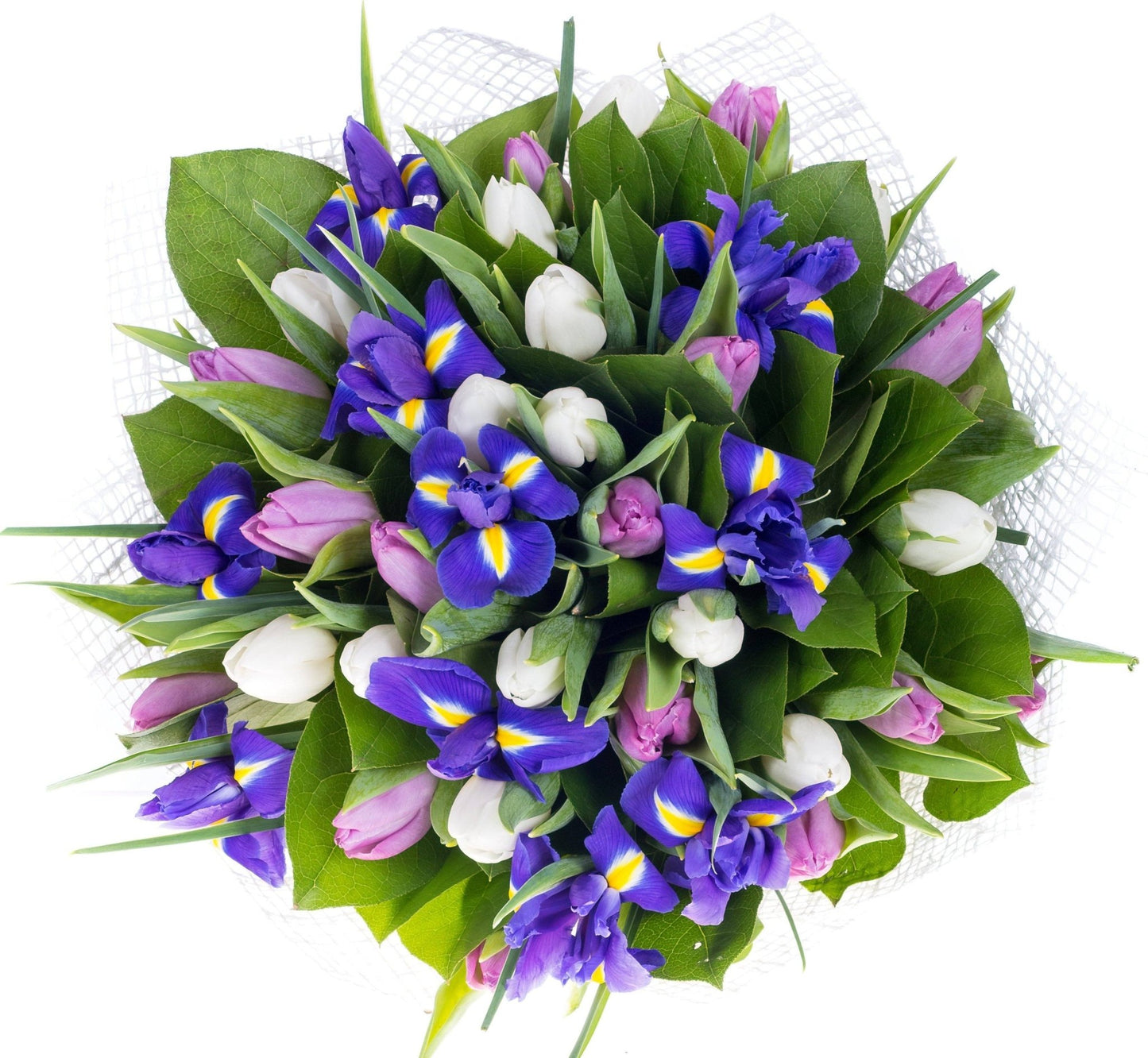 Tulips with Iris Bouquet - Florist London