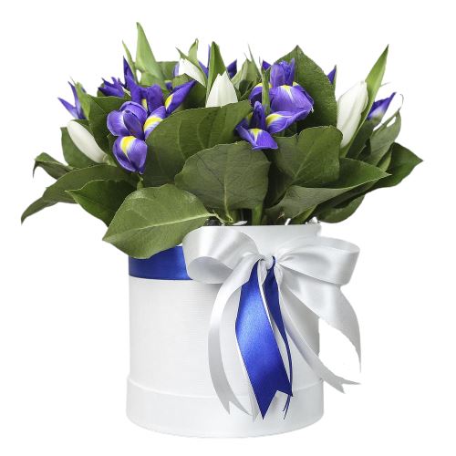 Tulips with Irys Box - Florist London
