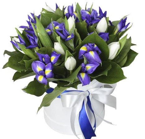 Tulips with Irys Box