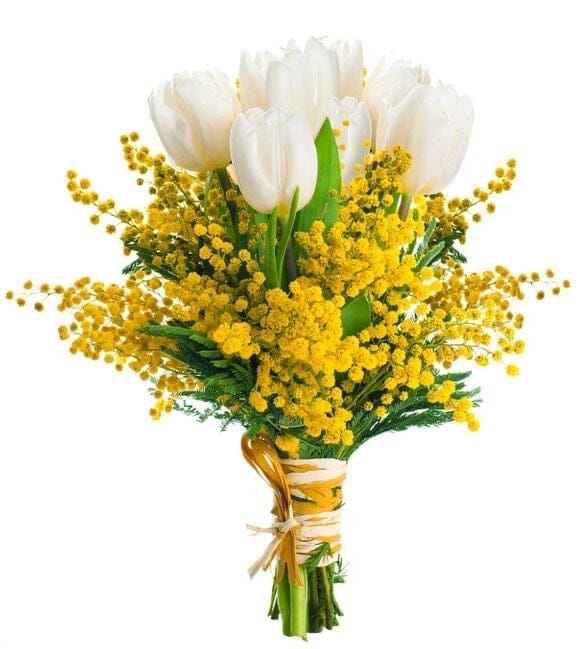Tulips with Mimosa Bouquet - Florist London