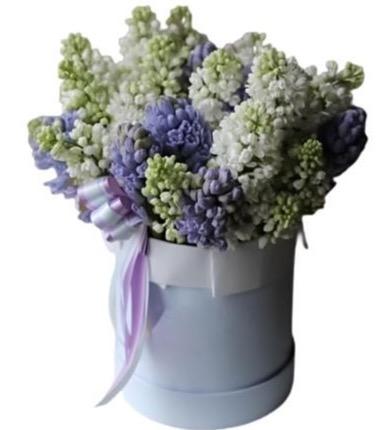 Two Colors of Hyacinths
