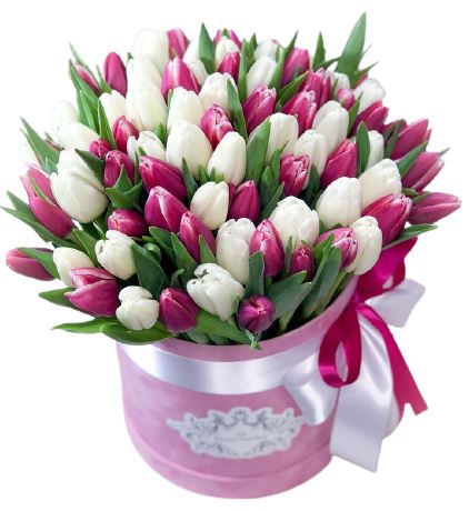 White and Cerise Tulips Box - Florist London
