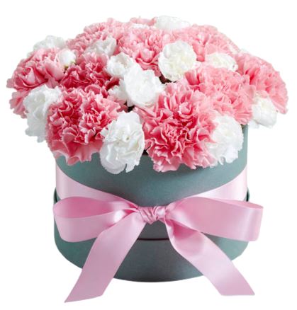 White and Pink Carnations Box - Florist London