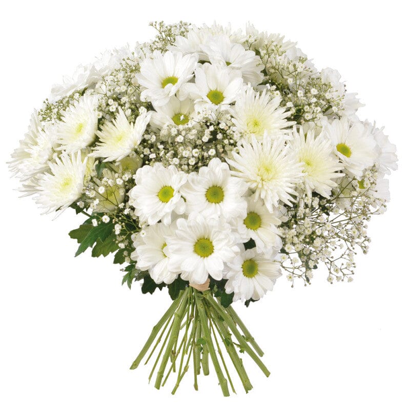 White Chrysanthemum With Gypsophilium Bouquet - Florist London