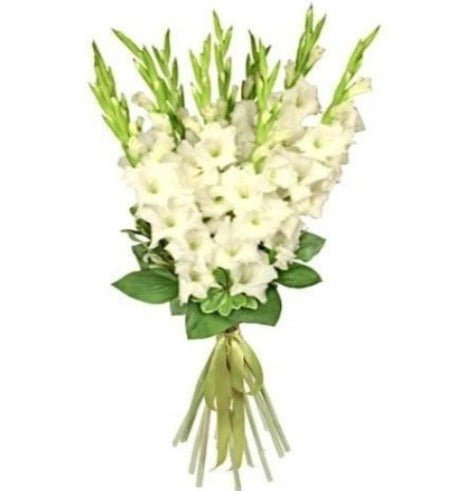 White Gladiolus Bouquet - Florist London