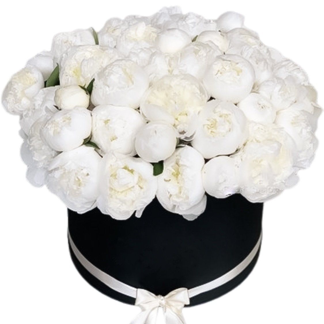 White Peonies Box - Florist London