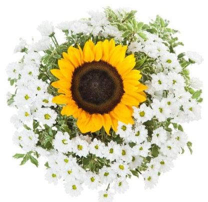 White Santini Chrysanthemum and Sunflowers Bouquet - Florist London