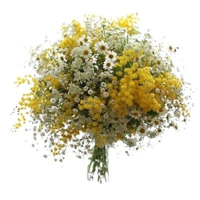 Wild with Mimosa Bouquet - Florist London