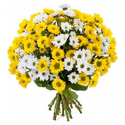 Yellow and White Santini Chrysanthemum Bouquet - Florist London