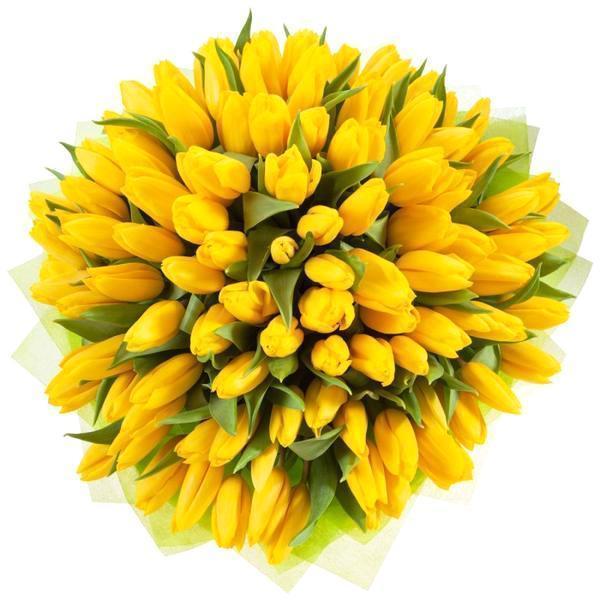 Yellow Tulips Bouquet - Florist London